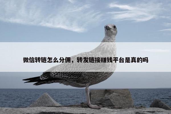 微信转链怎么分佣，转发链接赚钱平台是真的吗