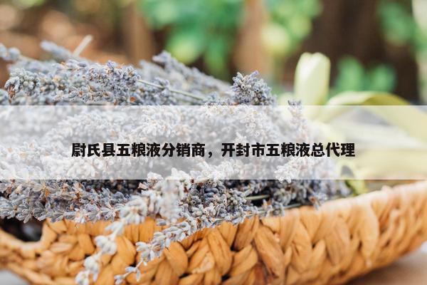 尉氏县五粮液分销商，开封市五粮液总代理