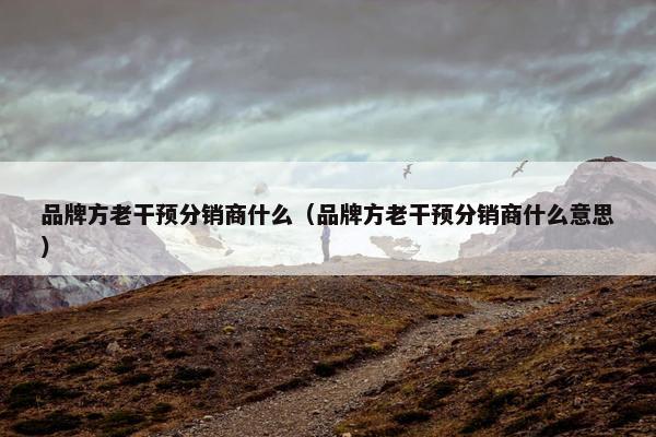 品牌方老干预分销商什么（品牌方老干预分销商什么意思）