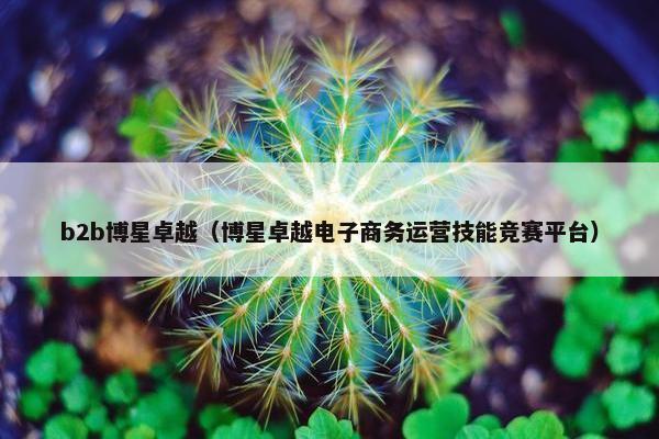 b2b博星卓越（博星卓越电子商务运营技能竞赛平台）