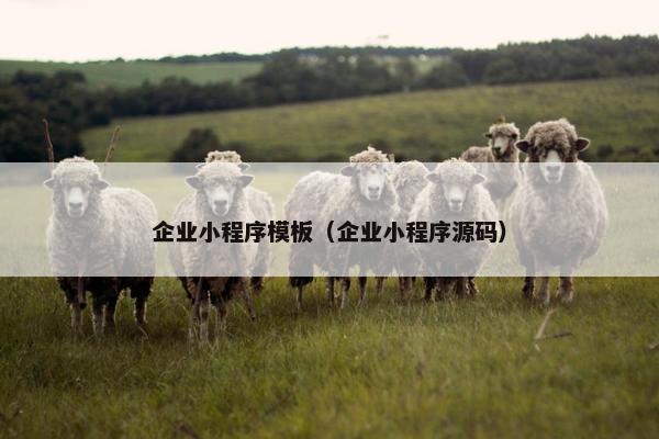 企业小程序模板（企业小程序源码）