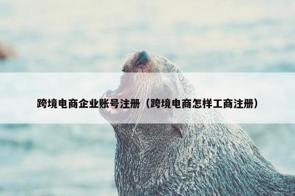 跨境电商企业账号注册（跨境电商怎样工商注册）