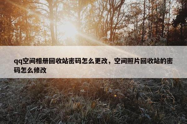 qq空间相册回收站密码怎么更改，空间照片回收站的密码怎么修改
