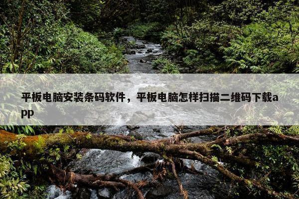 平板电脑安装条码软件，平板电脑怎样扫描二维码下载app