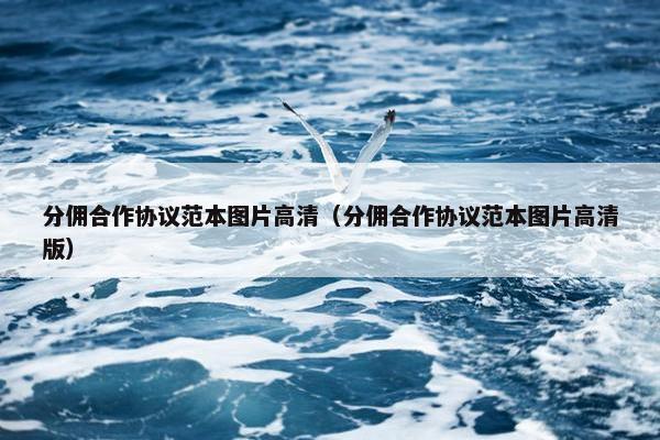 分佣合作协议范本图片高清（分佣合作协议范本图片高清版）