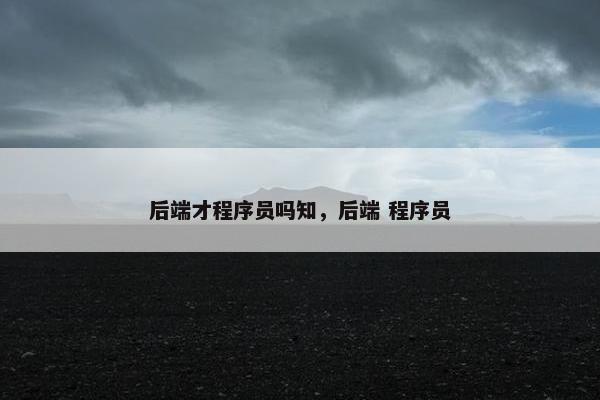 后端才程序员吗知，后端 程序员