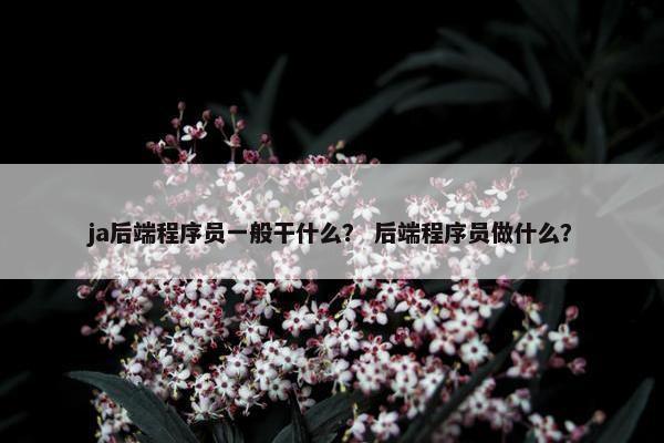 ja后端程序员一般干什么？ 后端程序员做什么？