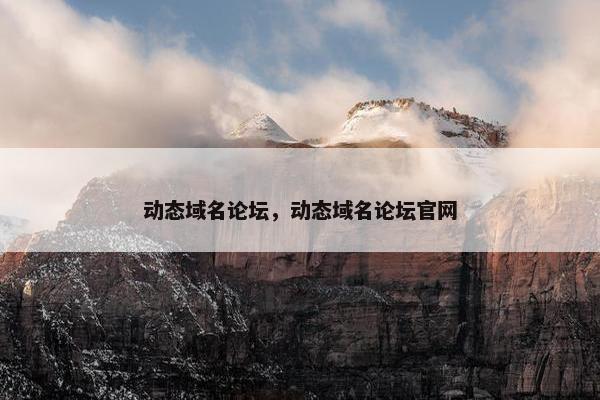 动态域名论坛，动态域名论坛官网
