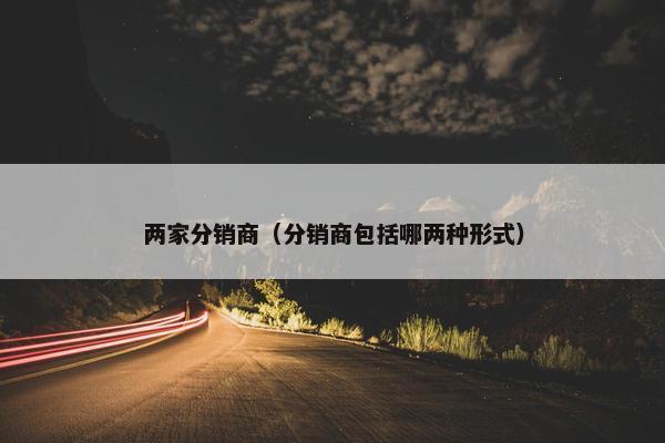 两家分销商（分销商包括哪两种形式）