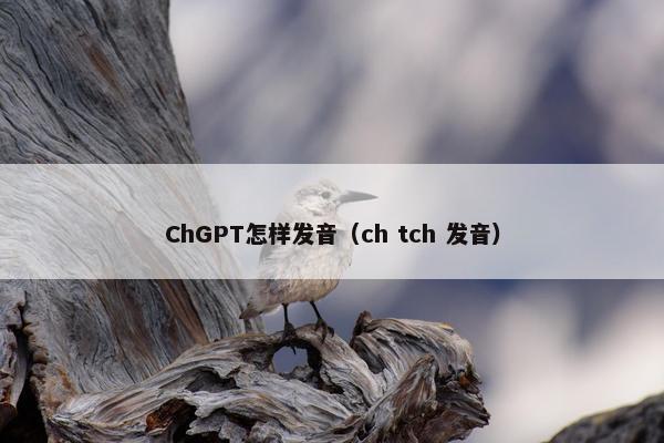 ChGPT怎样发音（ch tch 发音）