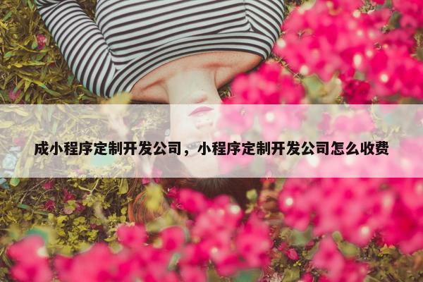 成小程序定制开发公司，小程序定制开发公司怎么收费