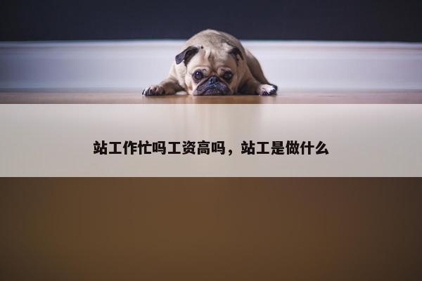 站工作忙吗工资高吗，站工是做什么