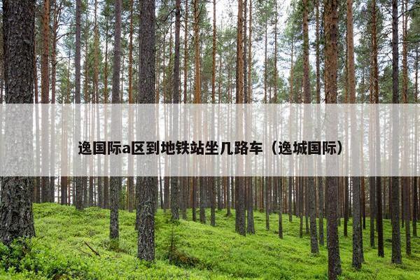 逸国际a区到地铁站坐几路车（逸城国际）