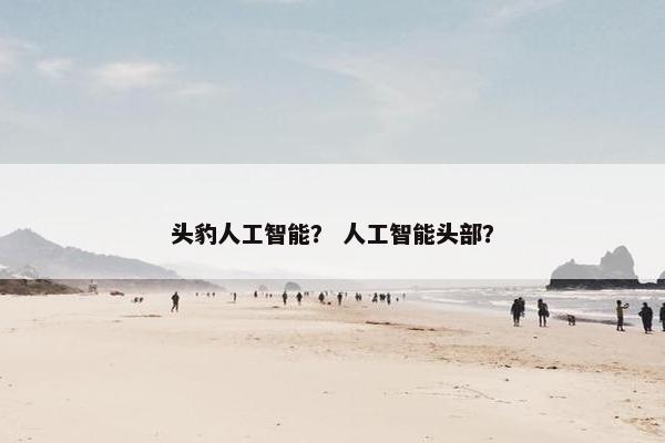 头豹人工智能？ 人工智能头部？