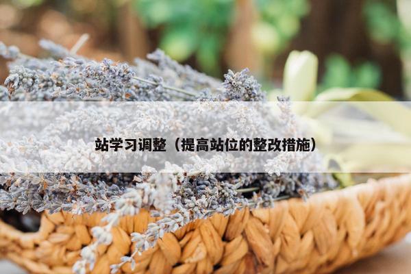 站学习调整（提高站位的整改措施）