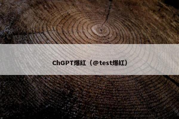 ChGPT爆红（@test爆红）