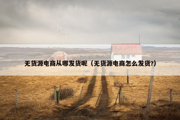 无货源电商从哪发货呢（无货源电商怎么发货?）