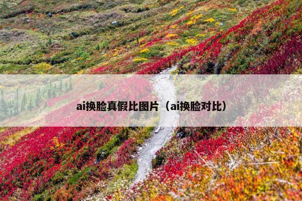 ai换脸真假比图片（ai换脸对比）