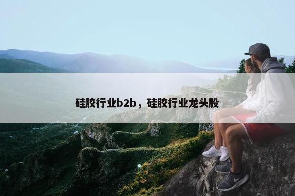 硅胶行业b2b，硅胶行业龙头股