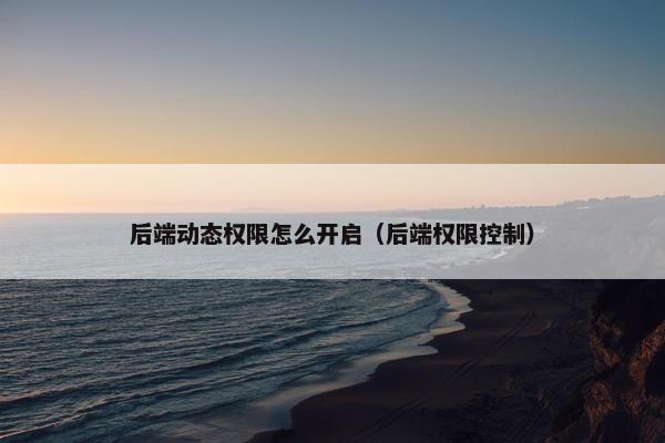 后端动态权限怎么开启（后端权限控制）