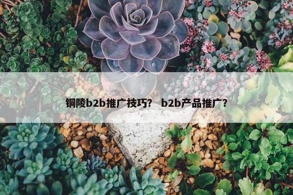 铜陵b2b推广技巧？ b2b产品推广？