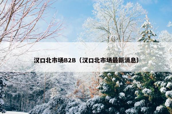 汉口北市场B2B（汉口北市场最新消息）