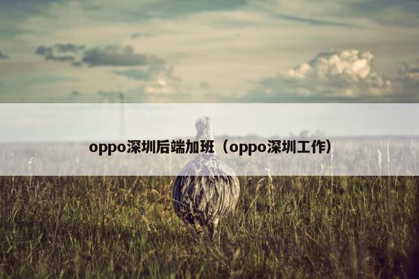 oppo深圳后端加班（oppo深圳工作）