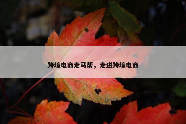 跨境电商走马帮，走进跨境电商