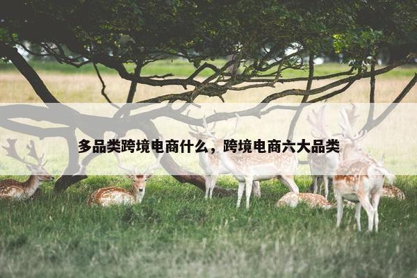 多品类跨境电商什么，跨境电商六大品类