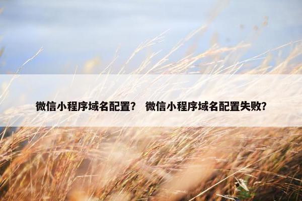 微信小程序域名配置？ 微信小程序域名配置失败？