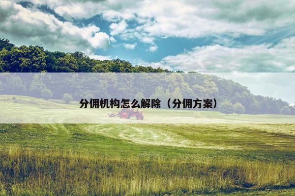 分佣机构怎么解除（分佣方案）