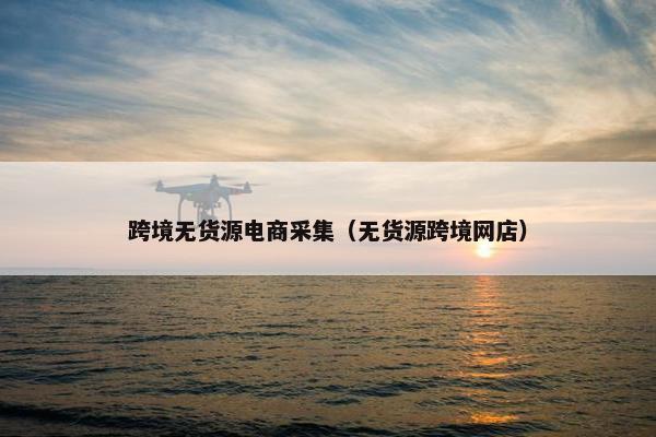 跨境无货源电商采集（无货源跨境网店）