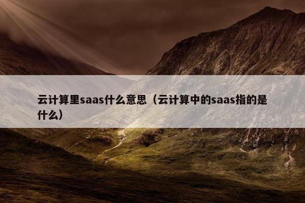 云计算里saas什么意思（云计算中的saas指的是什么）
