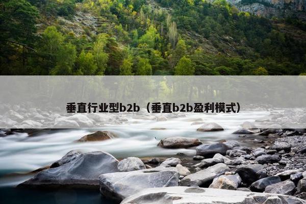 垂直行业型b2b（垂直b2b盈利模式）