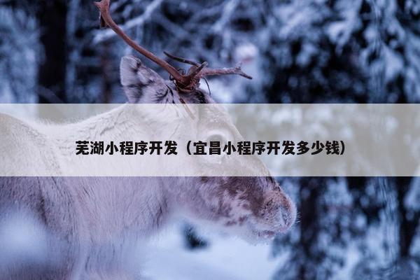 芜湖小程序开发（宜昌小程序开发多少钱）