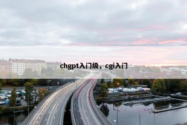 chgpt入门级，cgi入门