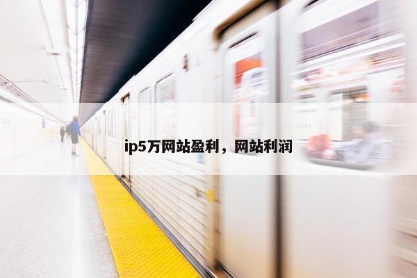 ip5万网站盈利，网站利润