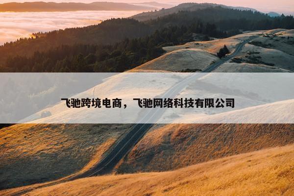 飞驰跨境电商，飞驰网络科技有限公司
