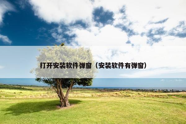 打开安装软件弹窗（安装软件有弹窗）