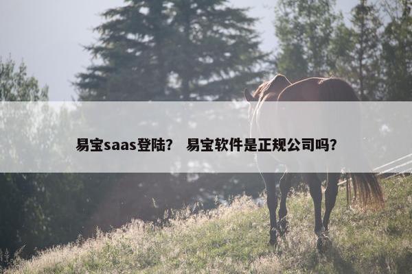 易宝saas登陆？ 易宝软件是正规公司吗？