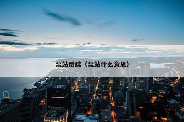 泵站后端（泵站什么意思）