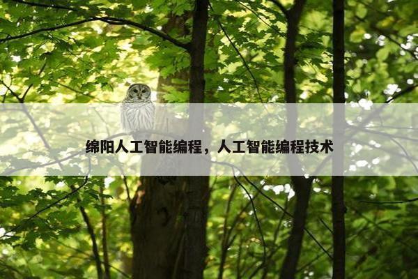 绵阳人工智能编程，人工智能编程技术