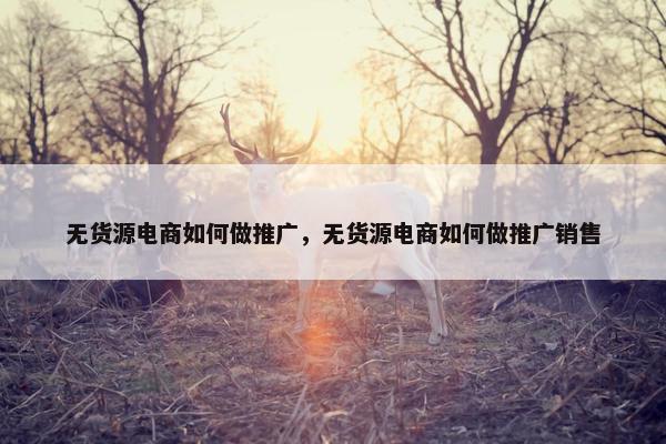 无货源电商如何做推广，无货源电商如何做推广销售
