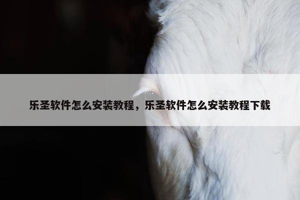 乐圣软件怎么安装教程，乐圣软件怎么安装教程下载