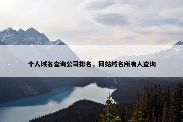 个人域名查询公司排名，网站域名所有人查询