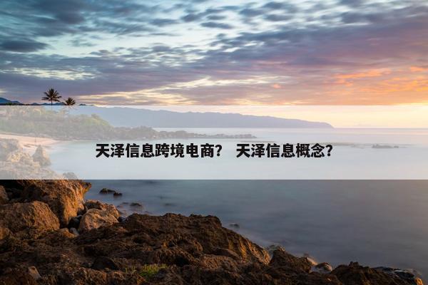 天泽信息跨境电商？ 天泽信息概念？