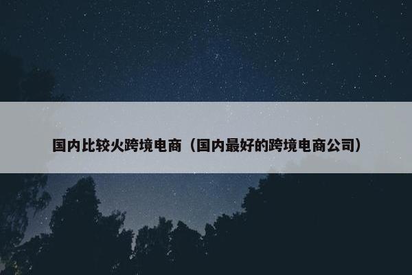 国内比较火跨境电商（国内最好的跨境电商公司）