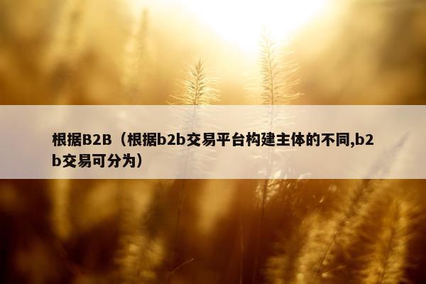 根据B2B（根据b2b交易平台构建主体的不同,b2b交易可分为）