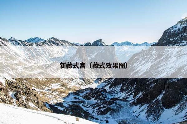 新藏式宫（藏式效果图）