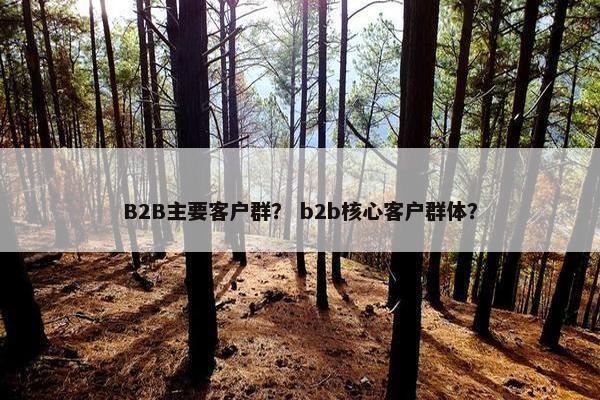 B2B主要客户群? b2b核心客户群体? B2B主要客户群? b2b核心客户群体?